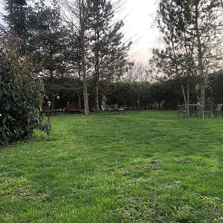 Argeselu Garden Villa - Entire Floor Apartment, Exclusive Garden Access Maracineni Екстер'єр фото