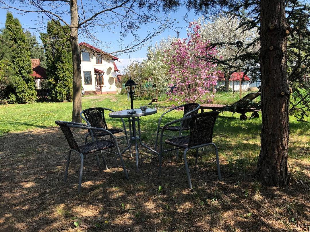 Argeselu Garden Villa - Entire Floor Apartment, Exclusive Garden Access Maracineni Екстер'єр фото