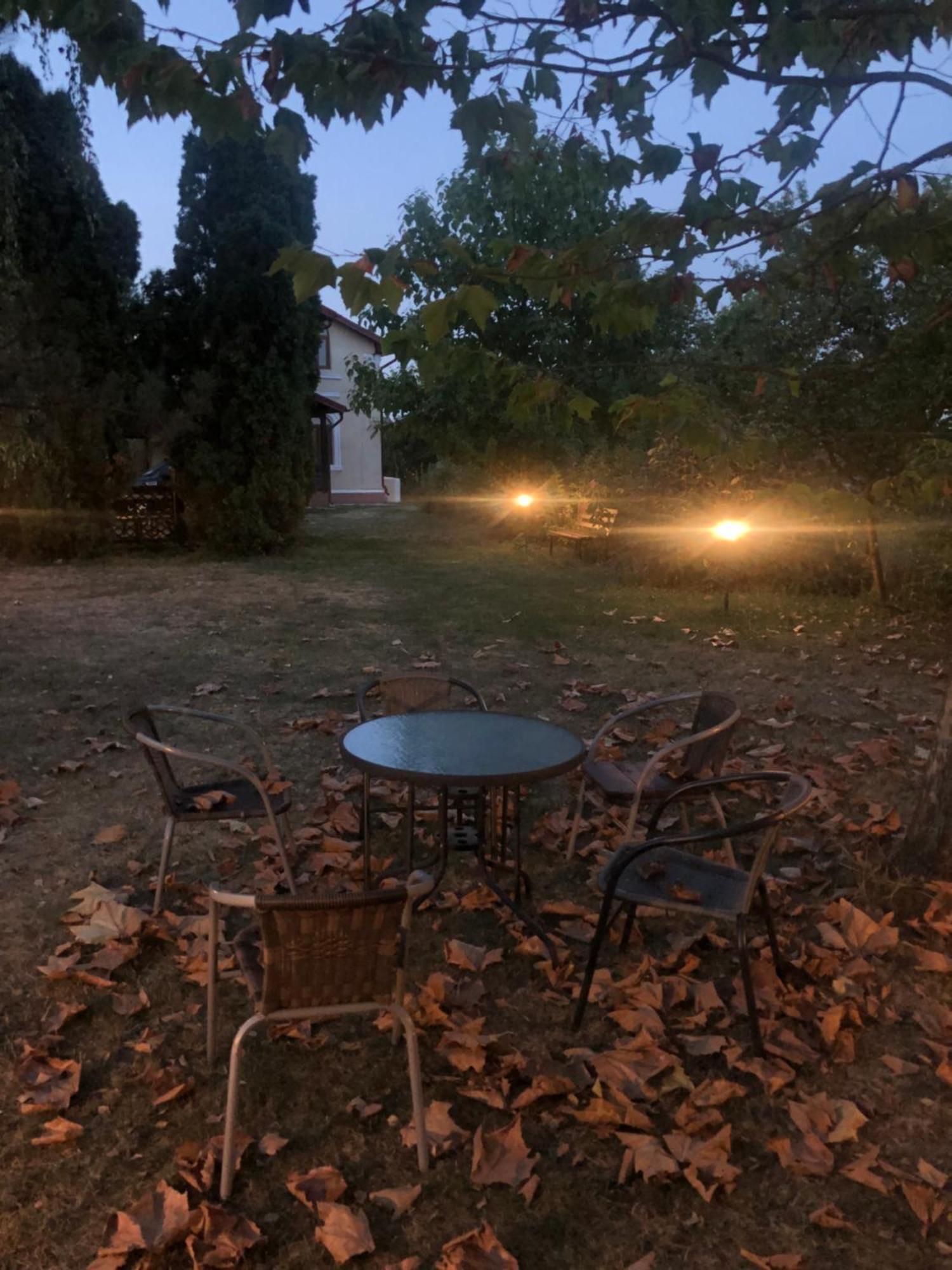 Argeselu Garden Villa - Entire Floor Apartment, Exclusive Garden Access Maracineni Екстер'єр фото