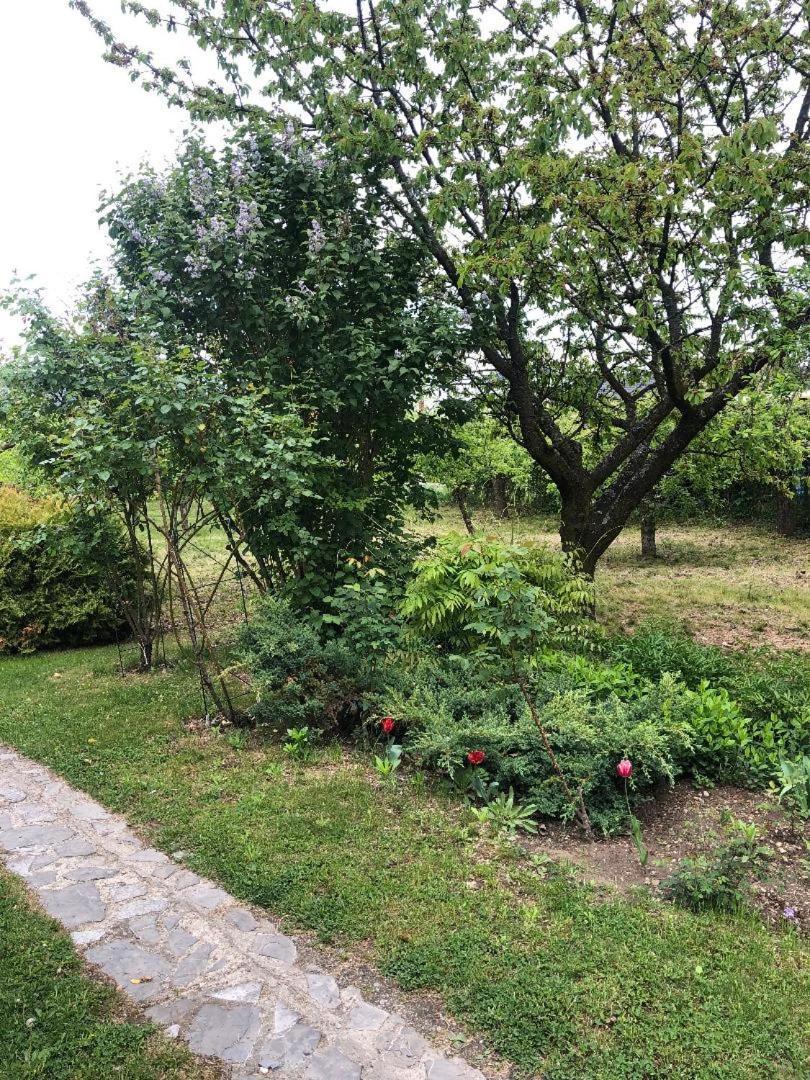 Argeselu Garden Villa - Entire Floor Apartment, Exclusive Garden Access Maracineni Екстер'єр фото