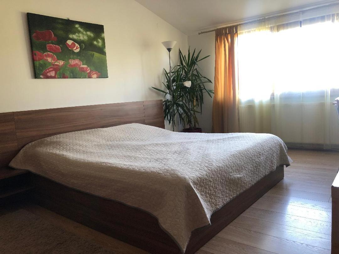 Argeselu Garden Villa - Entire Floor Apartment, Exclusive Garden Access Maracineni Екстер'єр фото
